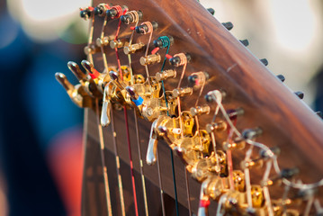 Detail of the strings of a harp
