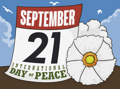 Calendar and White Poppy for International Day of Peace, Vector Illustration