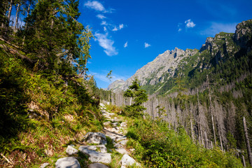 Fototapeta premium Slovakian Velka Studena Dolina Tatra