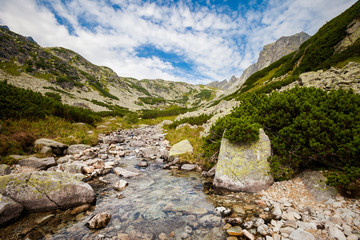Naklejka premium Slovakian Velka Studena Dolina Tatra