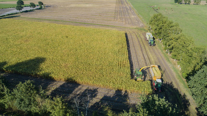 Maisernte, Maishäcksler in Aktion, Erntewagen mit Traktor