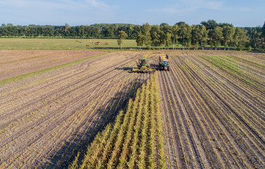 Maisernte, Maishäcksler in Aktion, Erntewagen mit Traktor