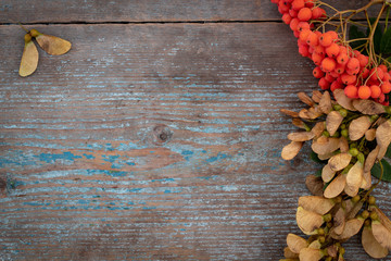 Autumn background from fallen leaves and fruits with vintage place setting on old wooden table. Thanksgiving day concept