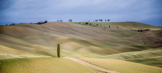 Obraz premium Toskana