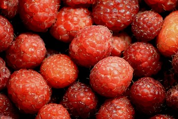 raspberries
