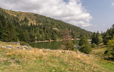 Obraz premium Lac des truites en montagne