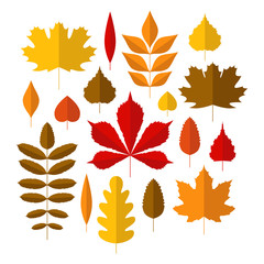 Obraz premium Autumn set with cute colorful leaves in flat style