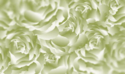 background, backdrop, green, rose, flower, white, nature, macro, blossom, love, yellow, floral, bloom, beautiful, beauty, petal, plant, closeup, flowers, petals, bouquet, soft, roses, wedding, flora