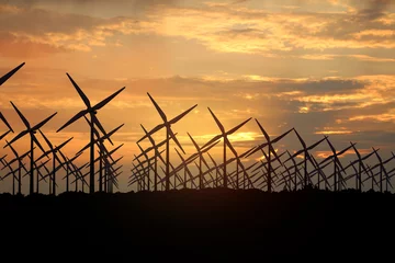 Foto auf Alu-Dibond 3D rendering van windmolens bij avond schemering - mooie zonsondergang wolken met op de voorgrond windmolens © emieldelange