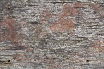 old rustic gray wood surface background