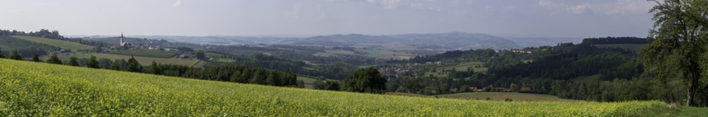 Fototapeta na wymiar Landschaftspanorama mit Rapsfeld in Oberösterreicho