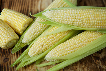 The young cobs of fresh yellow corn.