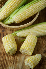 The young cobs of fresh yellow corn.