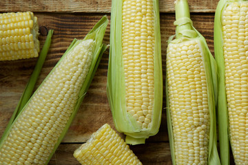 The young cobs of fresh yellow corn.