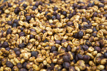 Coffee beans drying