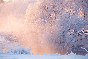 Vivid winter landscape.