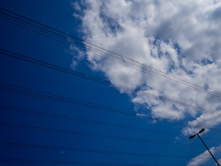 lines
