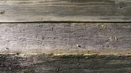 Texture gray of old unpainted boards in the open air