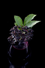 Elderberry juice. jar of homemade elderberry juice and fresh fruits on black background