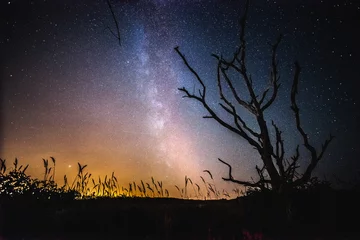 Foto op Canvas Beautiful night sky with milky way and silhoutte of old dead tree in a national park. © fotografiecor
