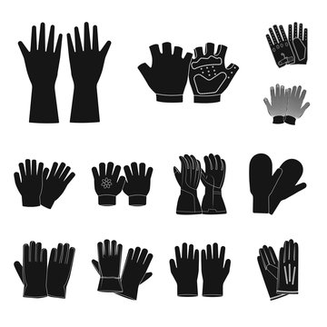 Isolated object of glove and winter sign. Collection of glove and equipment stock symbol for web.