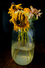 Wilted Flowers Mason Jar