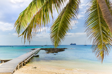seven miles beach in Grand Cayman