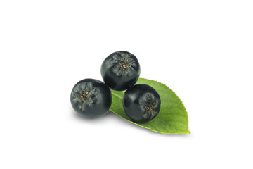 three berries of black ashberry on a green leaf, isolate