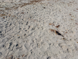 Sand at the beach in summer sunshine, no people, calm.