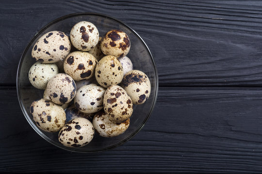Raw qail eggs background