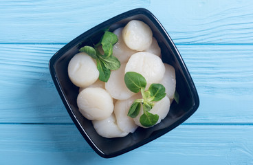 Raw scallops with salad