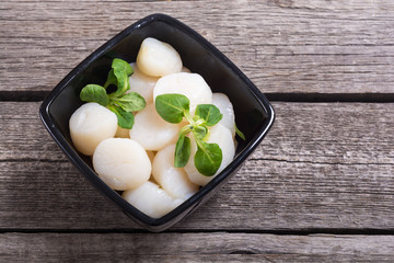Raw scallops with salad