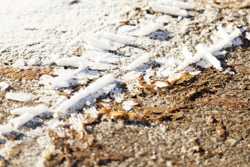 dry leaves, autumn season. Icy weather