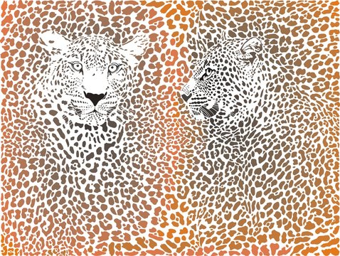 Leopard pattern with head 