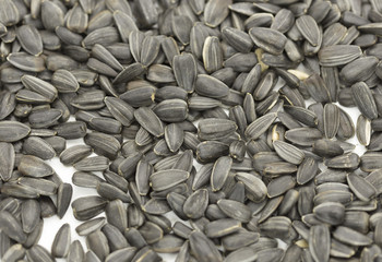 fried sunflower seeds on white background