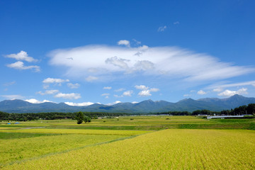実りの秋・八ヶ岳山麓