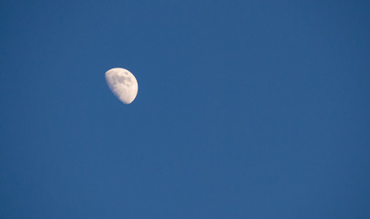 half moon in the blue afternoon sky