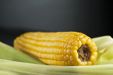 close up boiled corn on leaves with black background