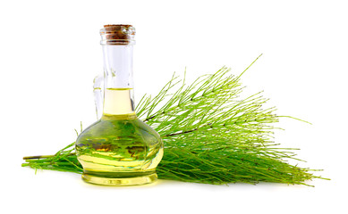 Common Horsetail Medicinal Herb Plant with Distilled Essential Oil Extract and Infusion in a Glass...