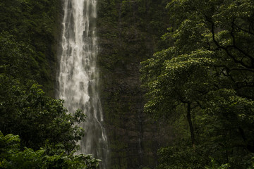 Fototapeta na wymiar Bottom of Waimoku Falls