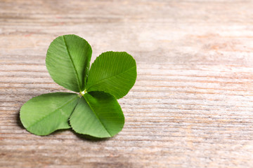 Green four-leaf clover on wooden background with space for text
