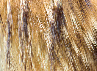 beautiful background, fur mink