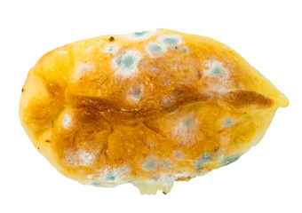 Deep fried old samsa with mold isolated on white background