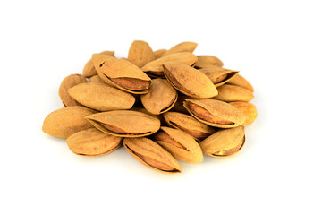 In-Shell Almond. Isolated Soft or Paper Shell Almond.