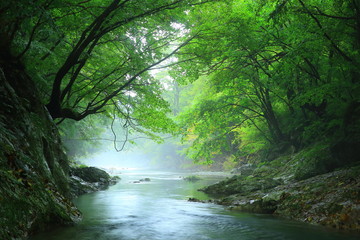 Obraz premium 夏の気仙大滝