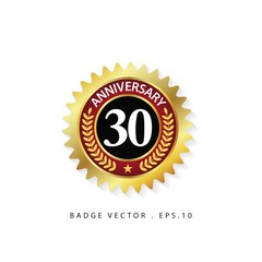 Anniversary 30 Vector Template Design Illustration