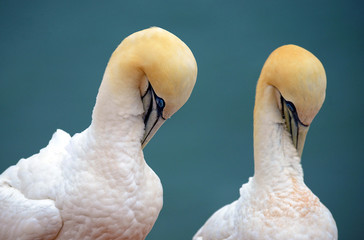 Synchronisation