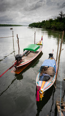 Obraz premium long-tailed boat