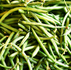 A closeup of fresh picked green beans.