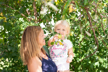 little girl apple picking with parent